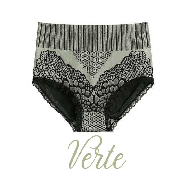 Neue Spitzenhöschen mit hoher Taille für Damen